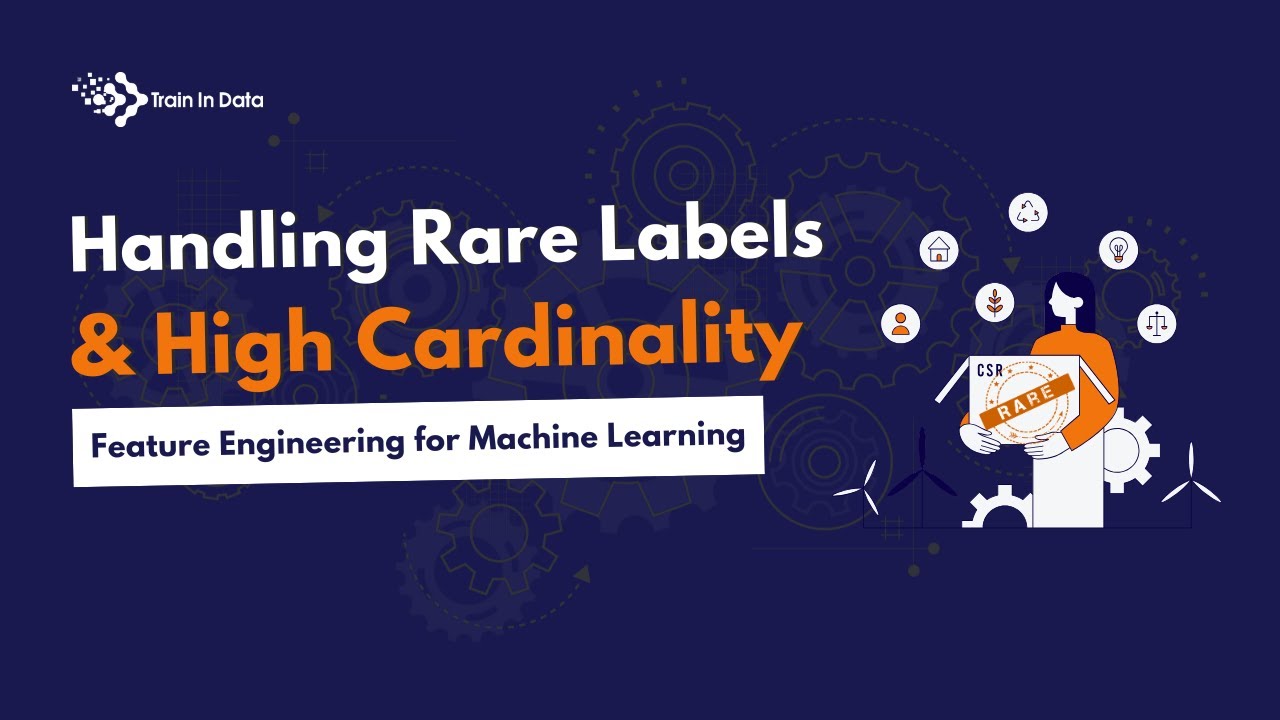 Handling Rare Labels & High Cardinality | Feature Engineering for Machine Learning