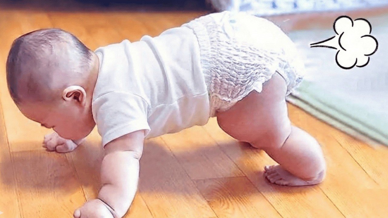 Funny Baby Video Try Not To Laugh🤣 Epic Moments When Baby Being Pure Little Chaos
