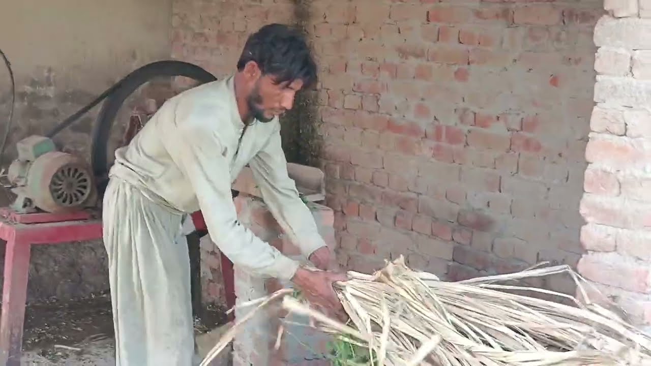 Beautiful Village Vlog #vlog #viral 