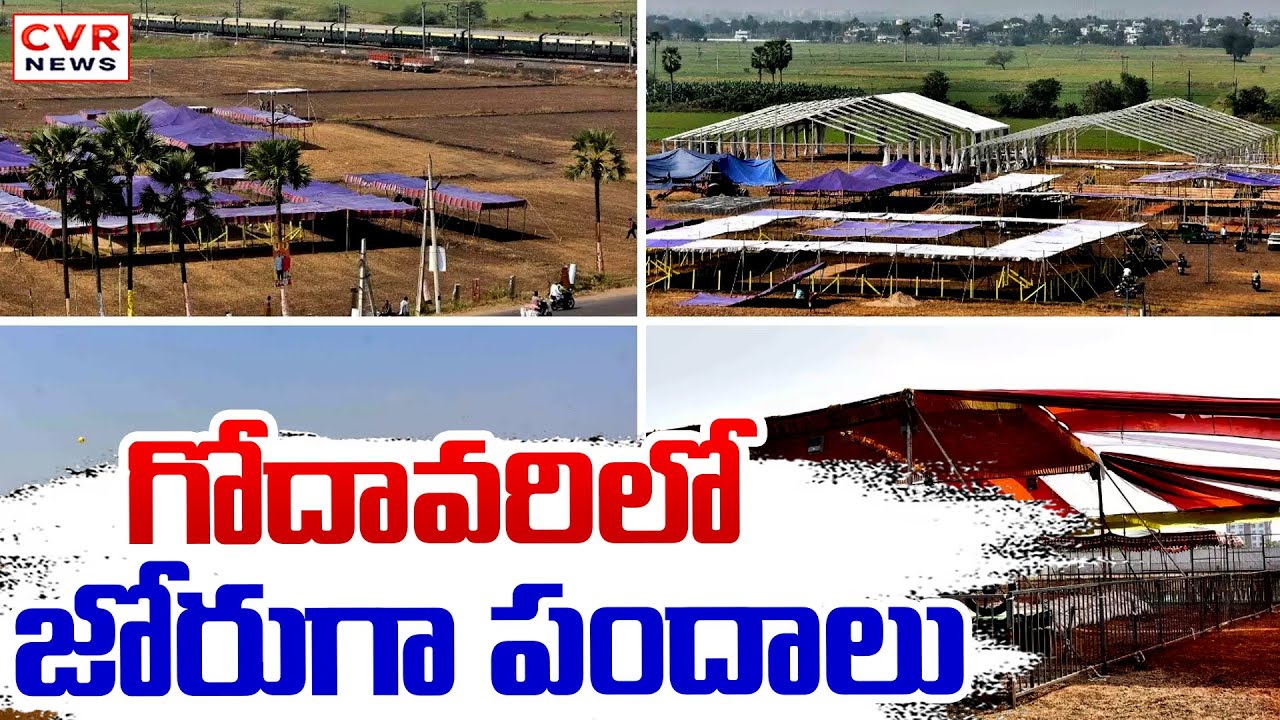గోదావరిలో జోరుగా పందాలు | Massive Gambling In Godavari District | Sankranti Festival | CVR News