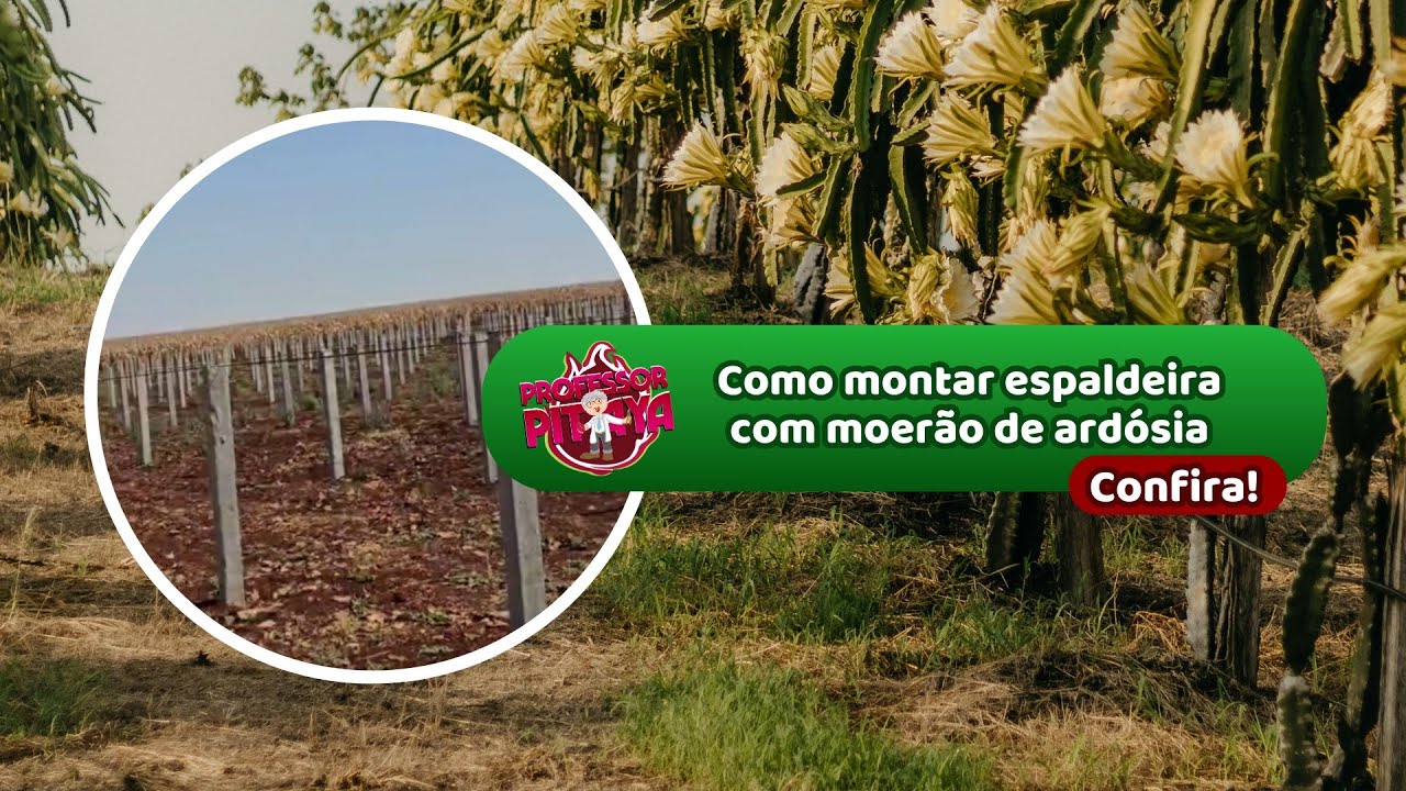 166) Como montar espaldeira com moerão de ardósia?