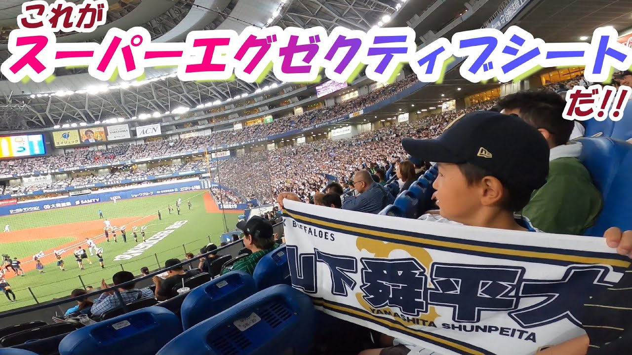 【食事付きネット裏指定席】スーパーエグゼクティブシートが最高すぎた　【オリックス】