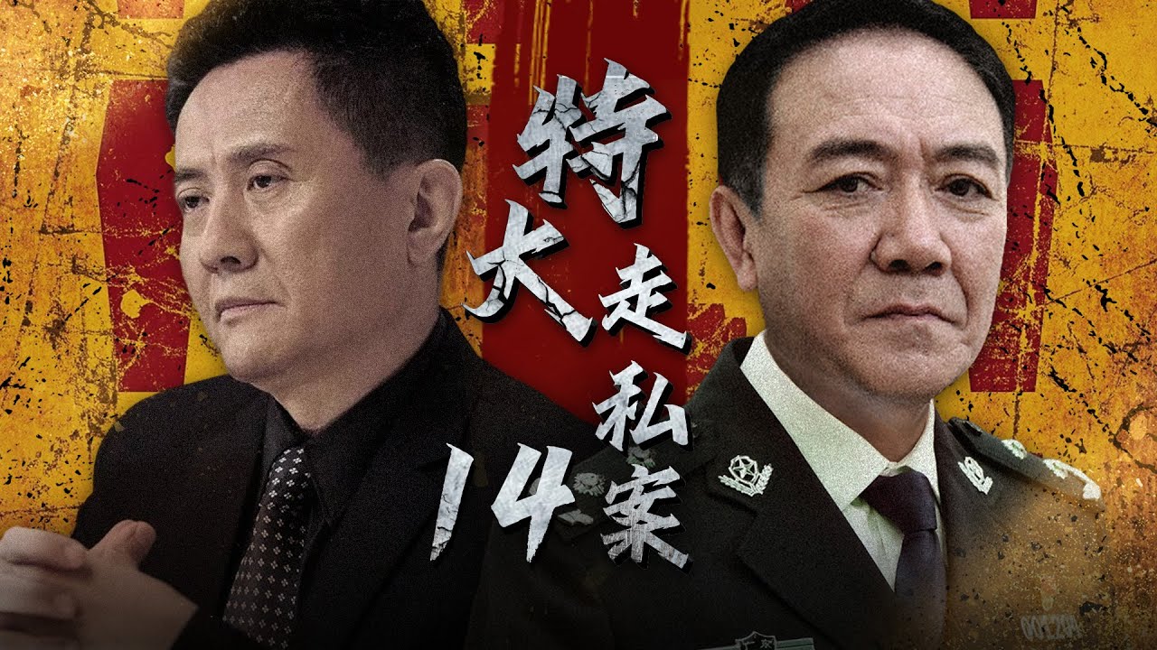 刑侦缉私电视剧 | 特大走私案 第14集 | 震惊全国！李幼斌、张志坚等老戏骨还原真实走私案件