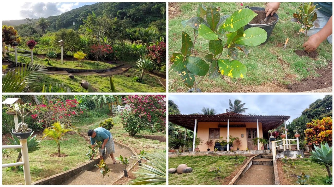 CUIDANDO DO JARDIM + PLANTEI VÁRIAS PLANTAS ORNAMENTAIS ( PARTE 1)