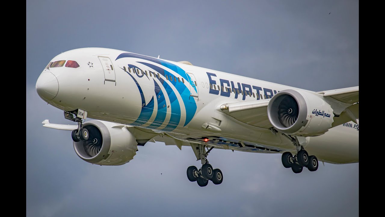 EGYPTAIR🇪🇬｜PVG Global Entry｜Customs Immigration🇨🇳｜Shanghai Pudong International Airport