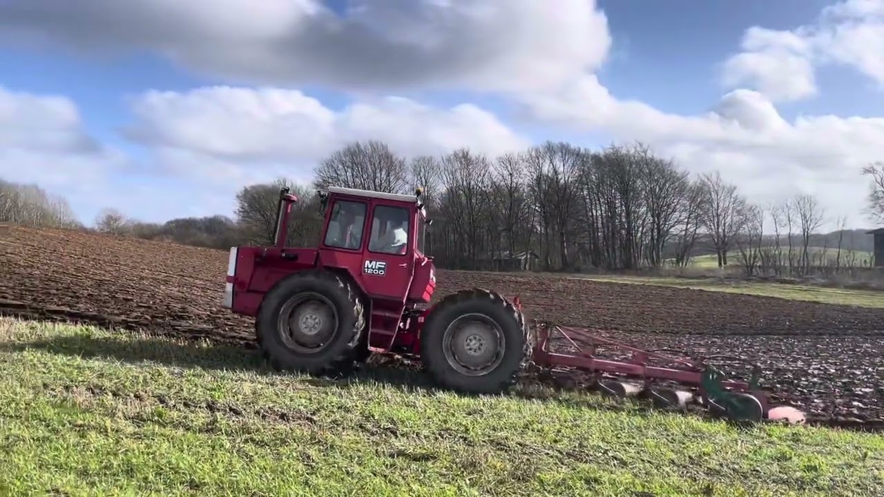MF 1200 med 4 furet Kverneland plov