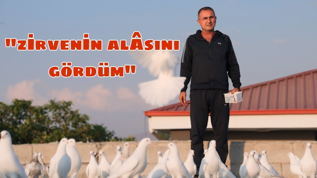 "ONLAR İYİ BİR SEYİS BEN İSE İYİ BİR BAKICIYIM" DAVUT TAKVA VE YILLARA MEYDAN OKUYAN BEYAZ SOYU !