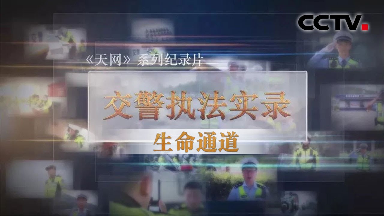 《天网》 交警执法实录 生命通道 | CCTV社会与法