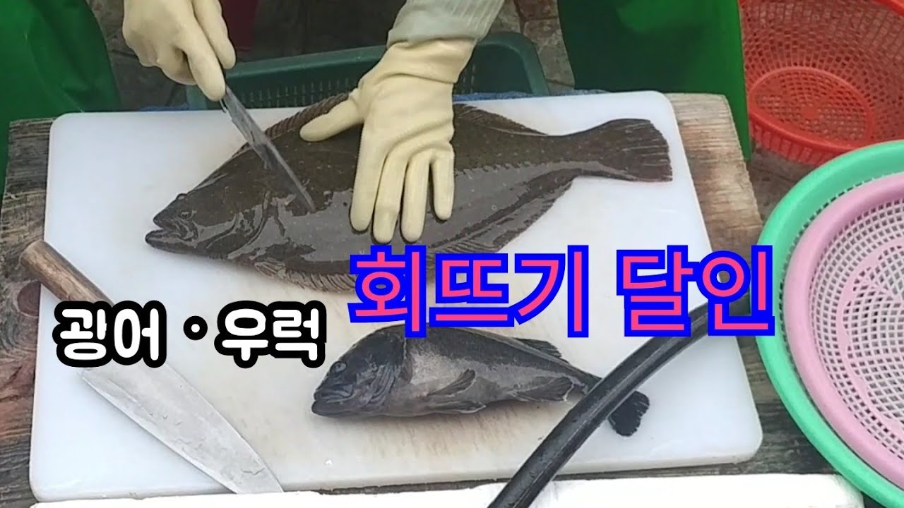 광어와 우럭 - 달인의 손질