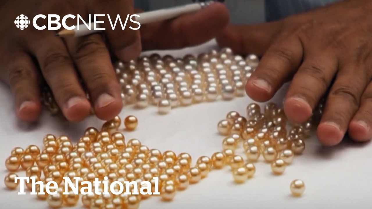 Canadian-linked company funnels pearls to Myanmar military regime | CBC News investigates