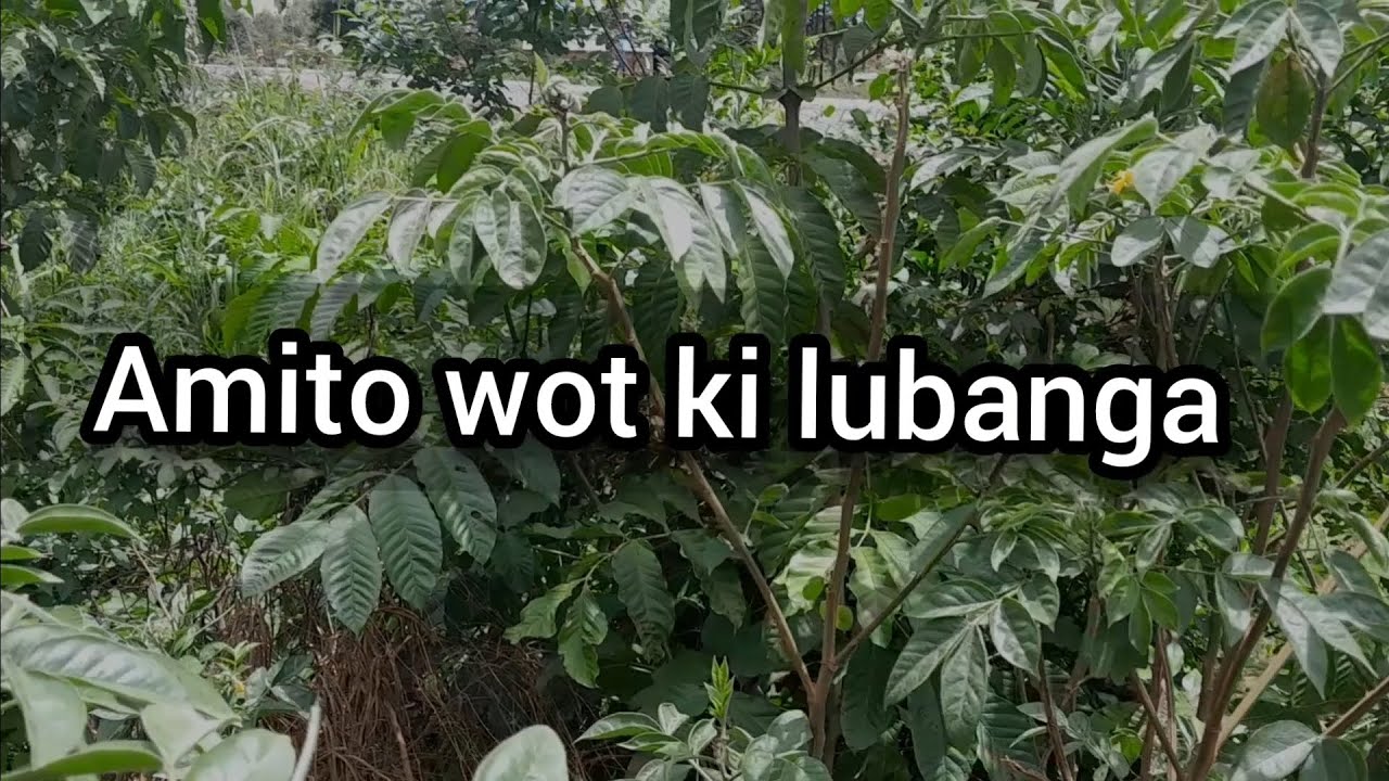Amito wot ki Lubanga wer kilega 60 full lyrics luo hymns
