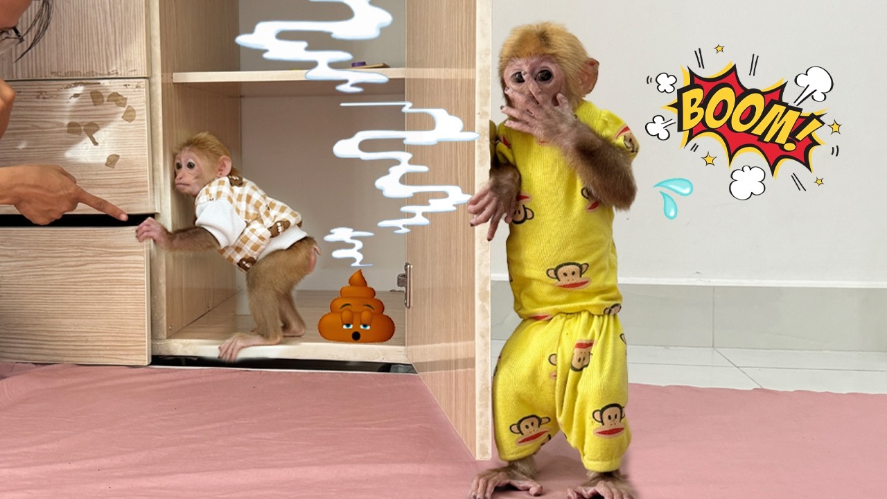 Why did Lucky lock Sunny in the wardrobe?