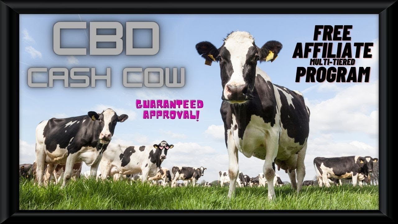 What Is The Best CBD Affiliate Program | No Cost Multi-Tiered Network 10 Levels [Anti-MLM]