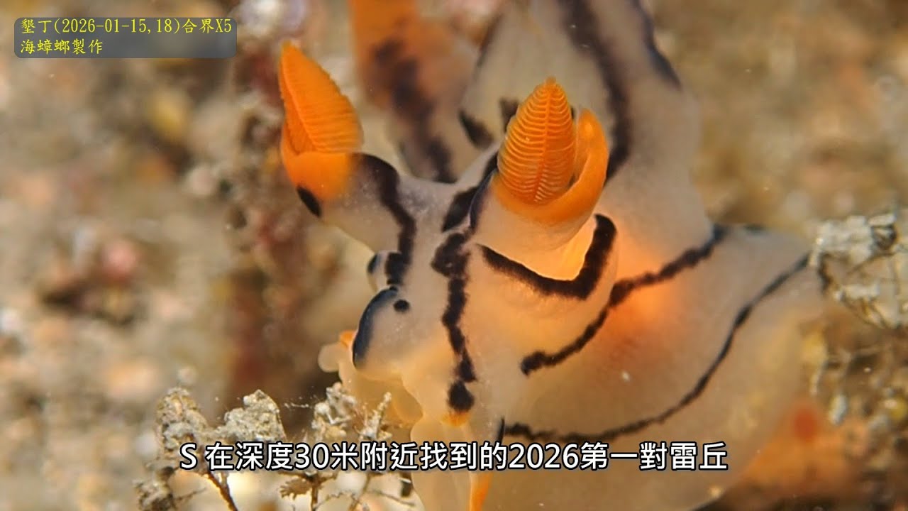 墾丁2026 01 15,18合界X5