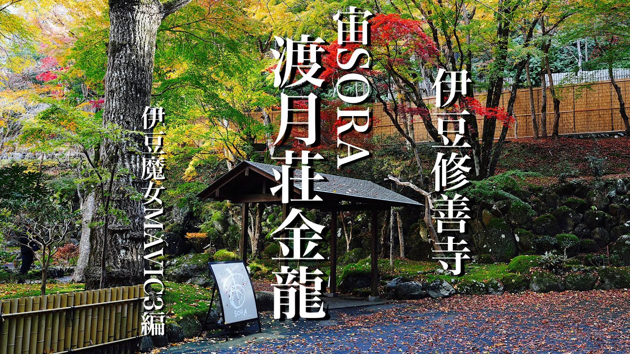 【宙SORA渡月荘金龍】神秘的な紅葉のお庭を空撮（MAVIC３編）
