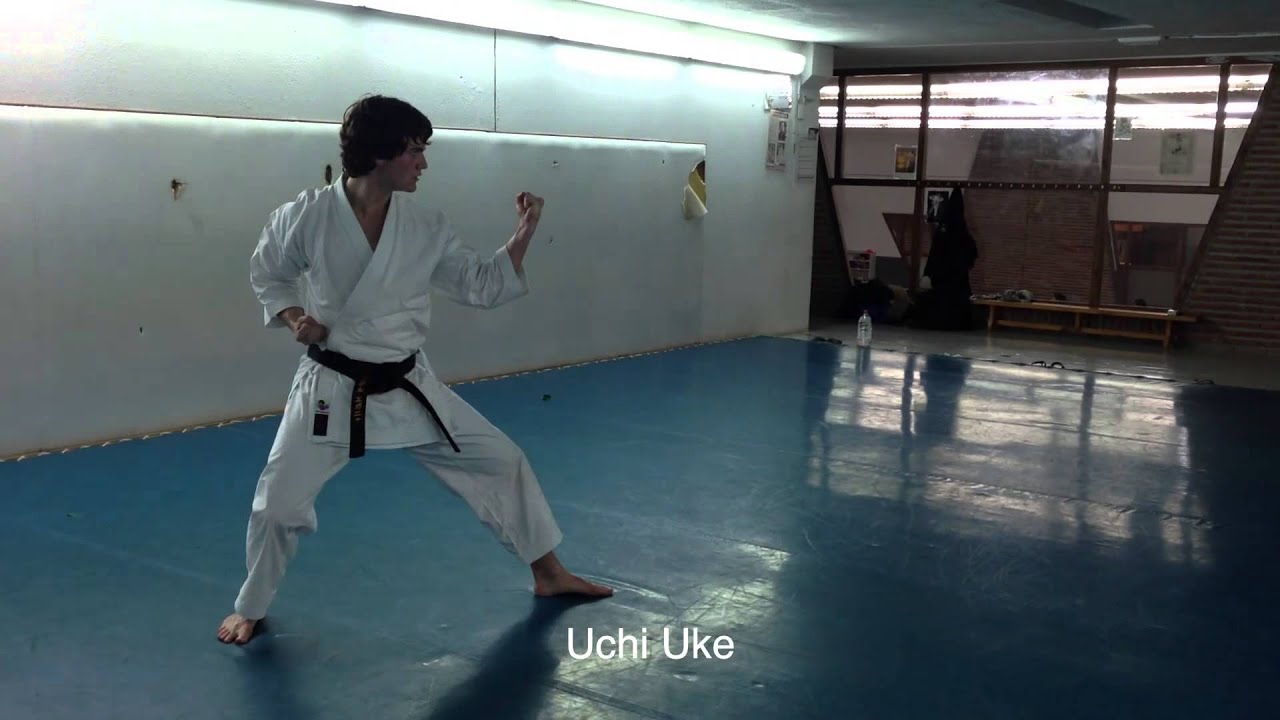 arraiz examen negro renzoku waza