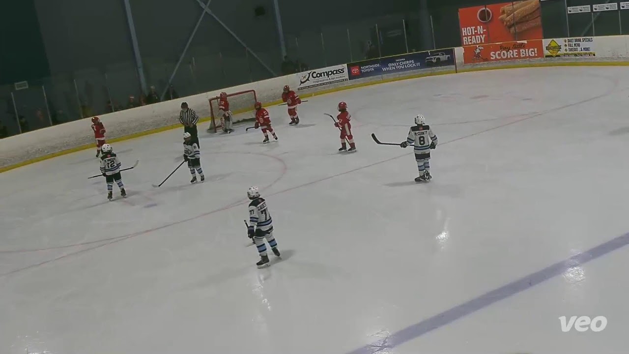 U10AA North Bay Trappers vs U10AA Soo Greyhounds