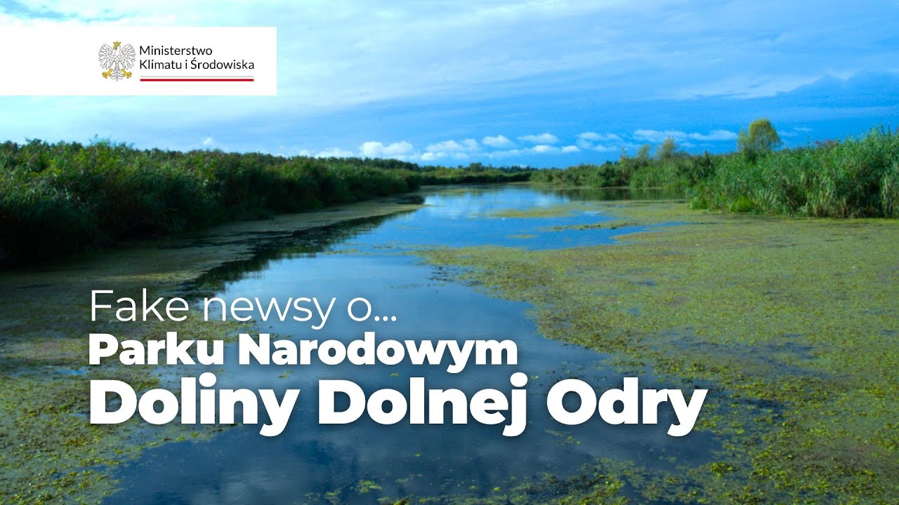 Fake newsy o Parku Narodowym Dolny Dolnej Odry