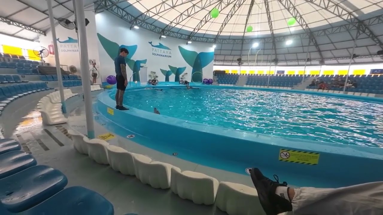 PATTAYA DOLPHINARIUM