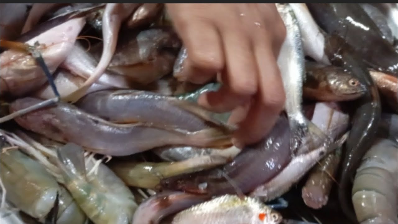 গুঁড়া মাছ কাটতে কষ্ট কিন্তু খেতে  অনেক ভালো লাগে। 