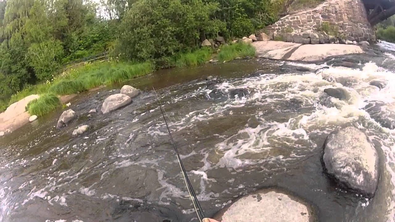 Vantaankoski kirjolohi (oloja&olemista)