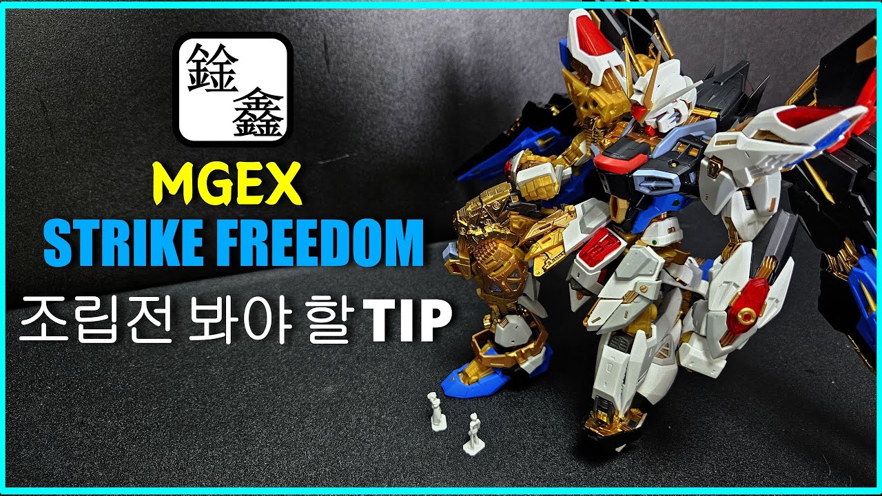 편흠모형 mgex 스트라이크 프리덤 TIP 영상/Xian xin mgex s freedem