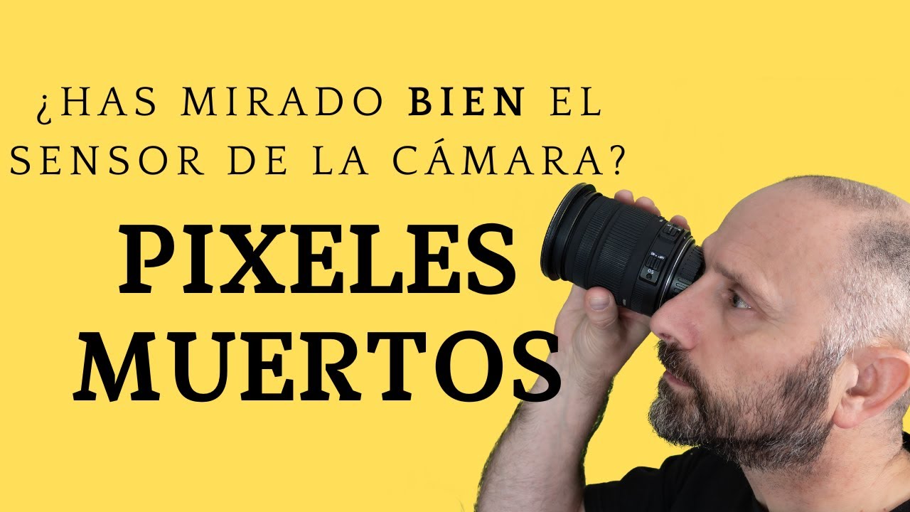 1 TRUCO para 🤔saber si la c&aacute;mara tiene 💥P&Iacute;XELES MUERTOS