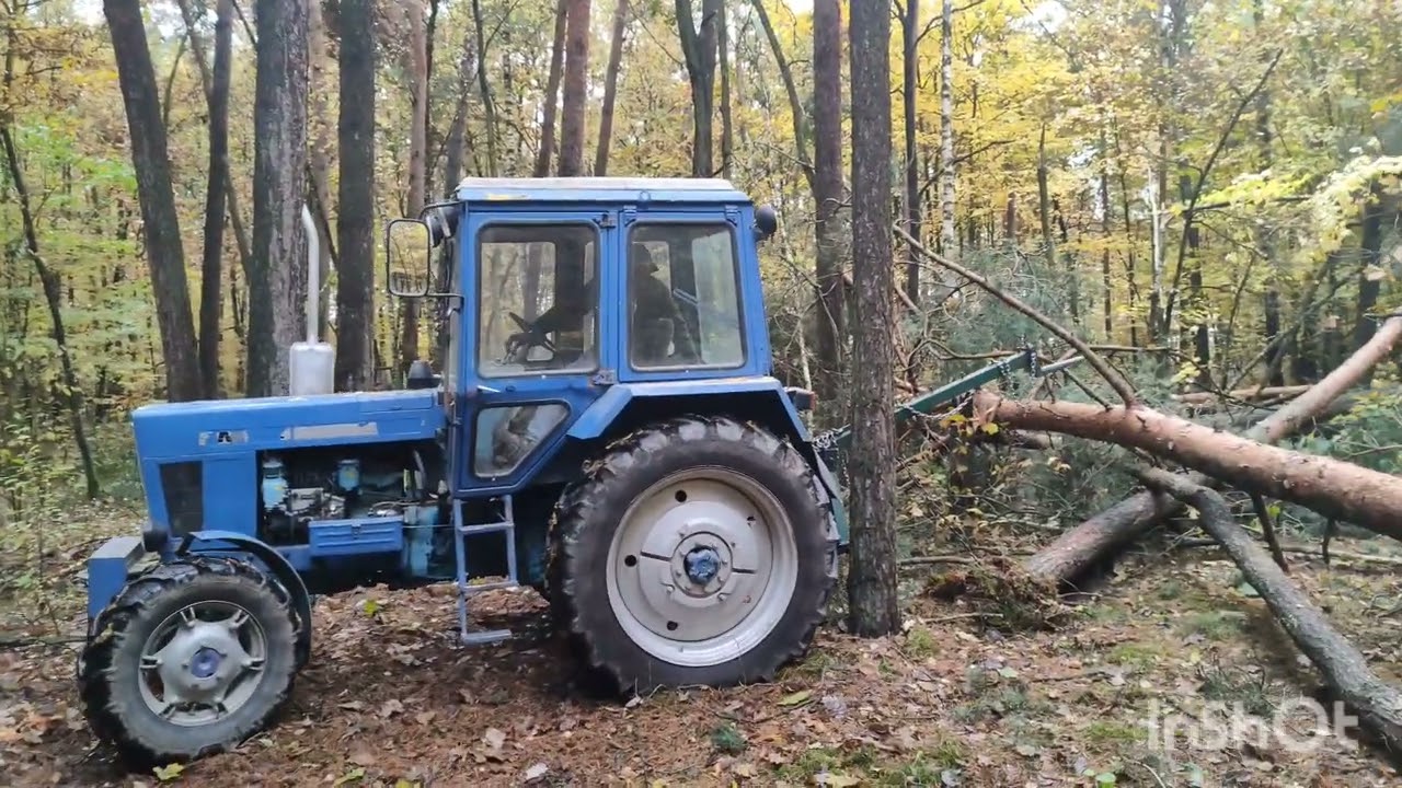 Mtz 82 w akcji (zrywka drzew)