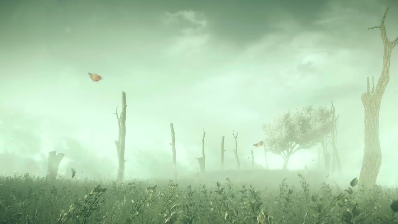 1 Hour of Bliss