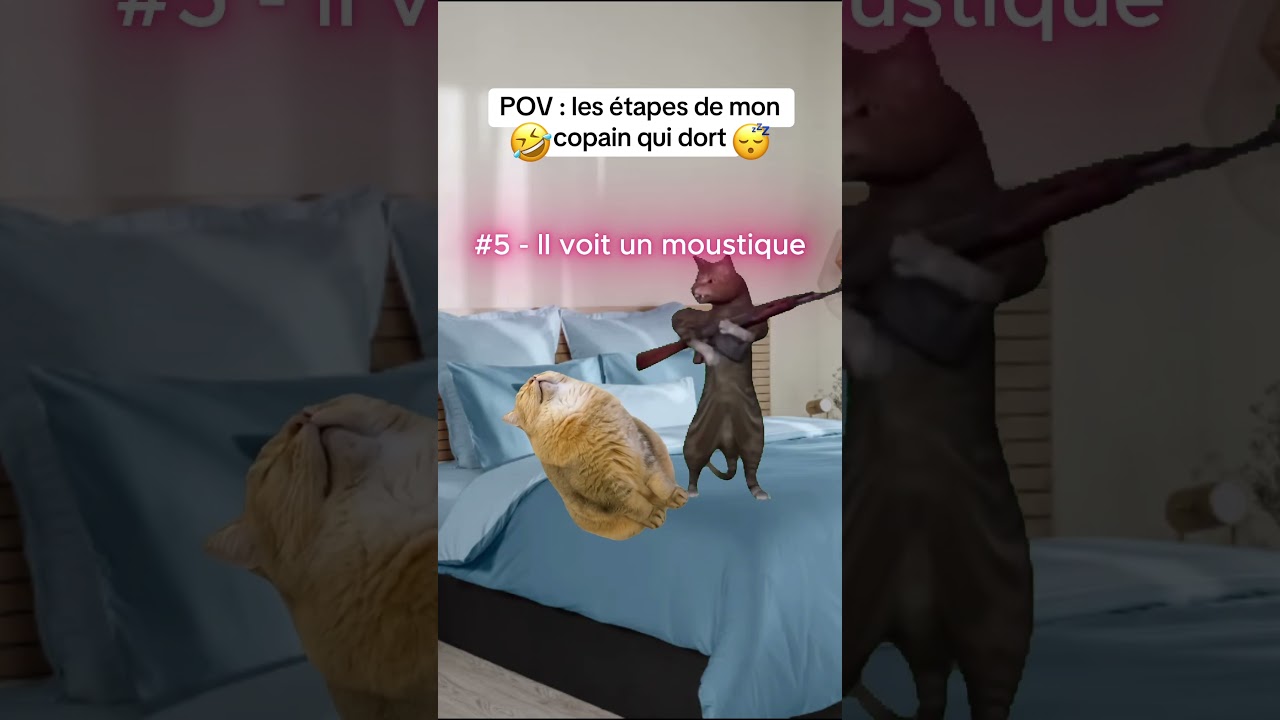 POV : les &eacute;tapes de mon copain qui dort 🤣😴