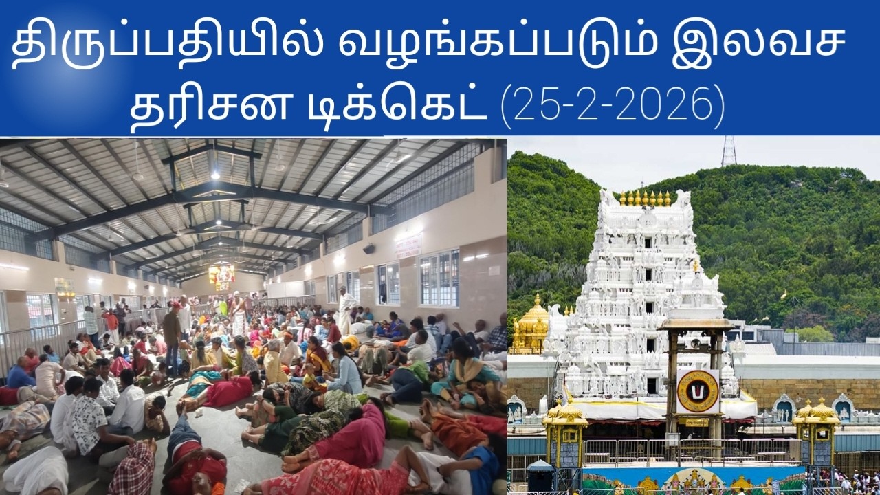 Tirupati updates today tamil | (25-2-2026)#tirupati