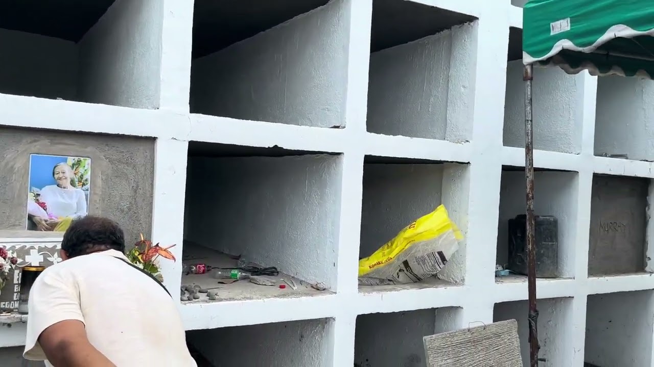 Дарио Вильямор