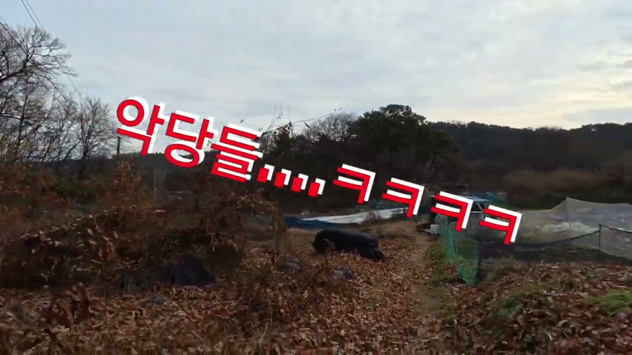 1025.12.13. 디스타 와장신 싱글라이딩 #바이크워크샵 #디스타즈 #와장신 #와동 #장동 #신탄진 #싱글 #이바이크 #mtb #재미 #대전 #산악자전거 #이바이크 #emtb 