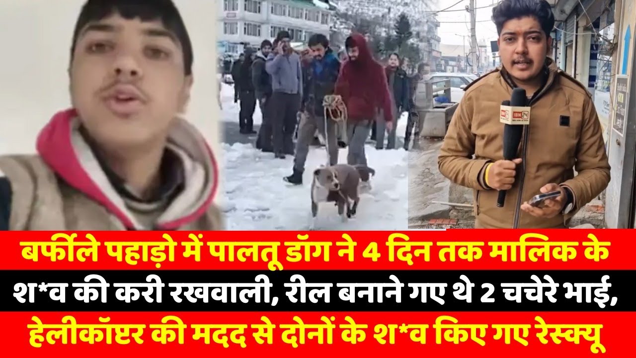 बर्फीले पहाड़ो में पालतू डॉग ने 4 दिन तक मालिक के श*व की करी रखवाली, रील बनाने गए