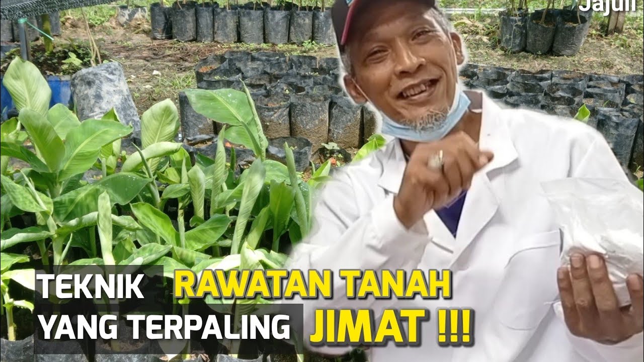 Jimat kos baja sehingga 40% - Rawatan Tanah ( Part 2 / Bahagian 2 )