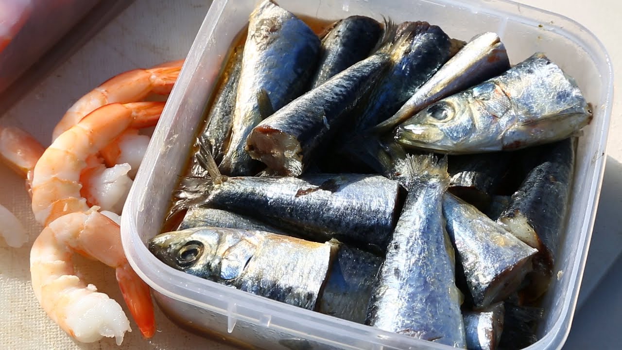 HOW TO FISH UNWEIGHTED BAITS - WITH BERLEY TIPS