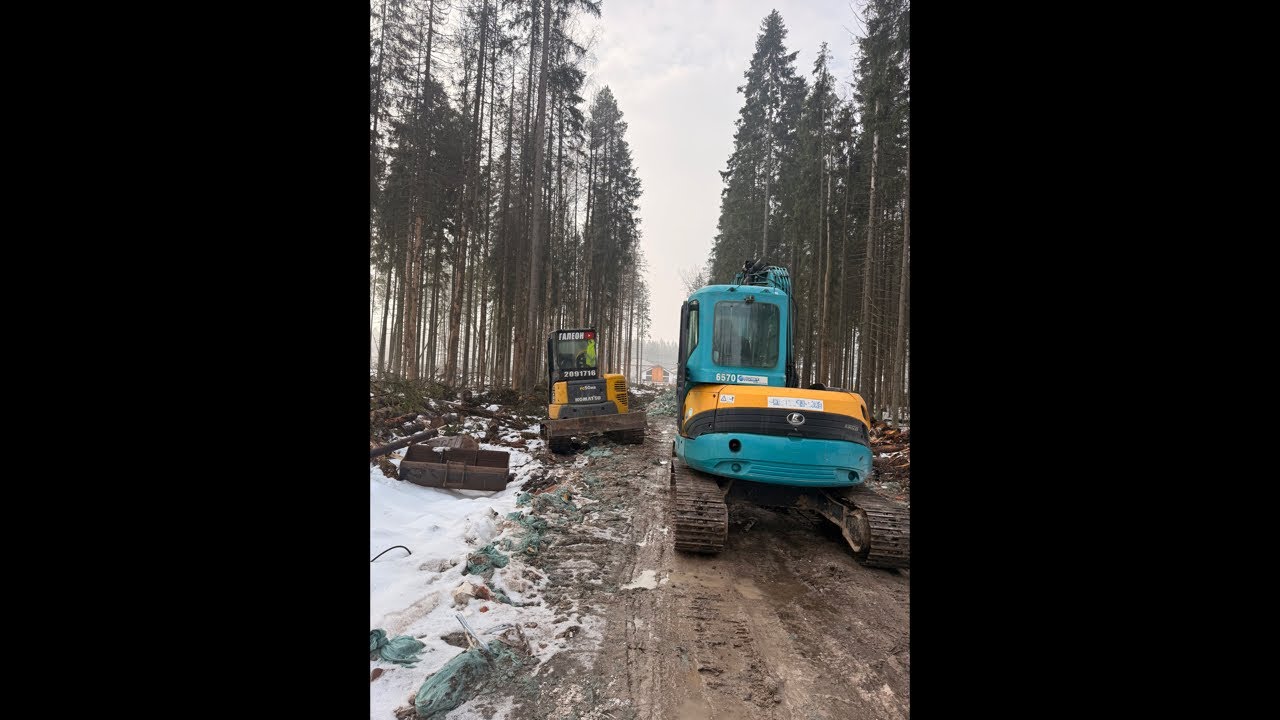 Два экскаватора Расчистка участка от леса СПБ. в прямом эфире!