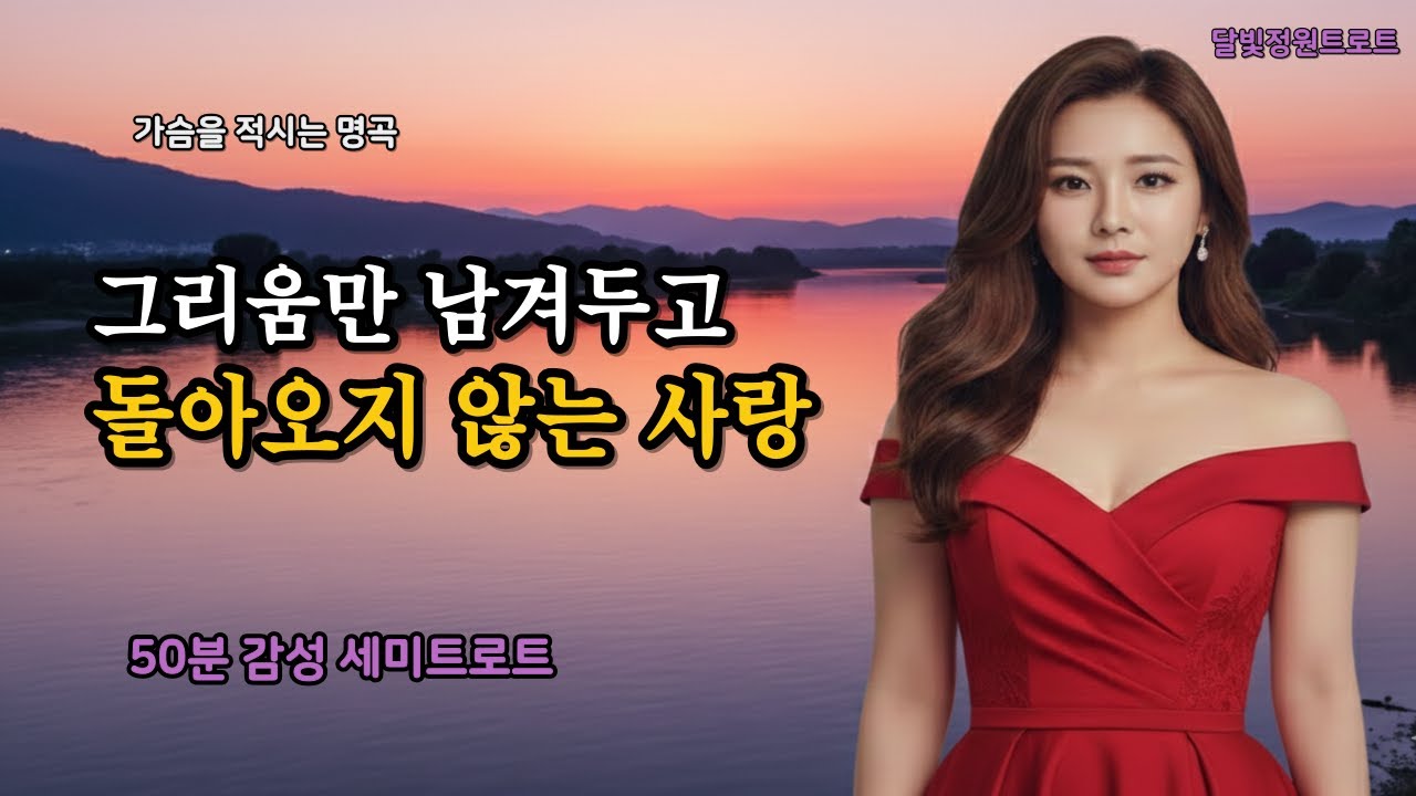 🎧그리움만 쌓이네   |  사랑했던 그시절,  잊지못한 멜로디  12곡 메들리 모음