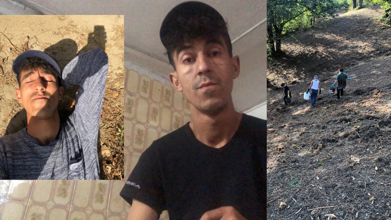 تونسي في الغربة مشيت نجمع في castagna في جبل 🇮🇹