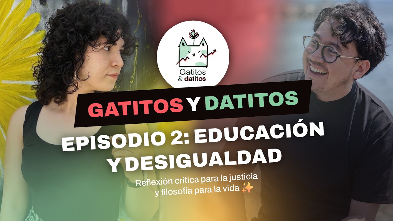 ¿La educación nos hace iguales? El mito de la meritocracia y la movilidad social | Gatitos y datitos