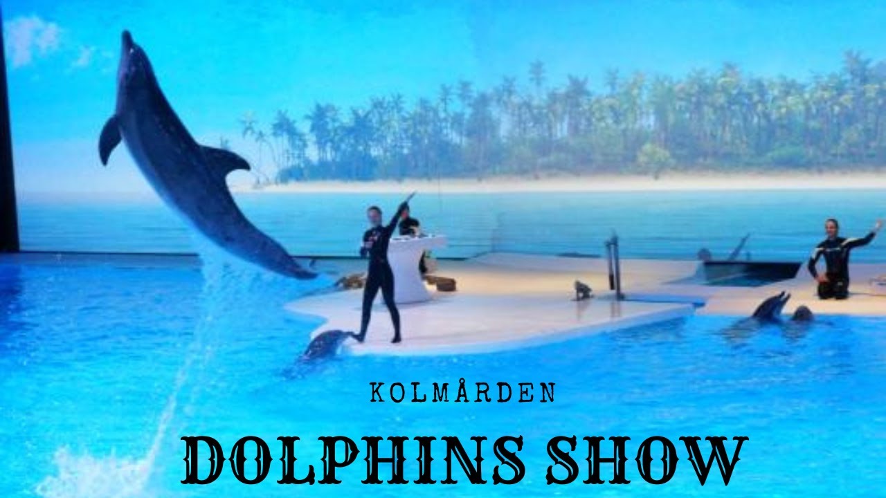Dolphins show at Kolmården | Jazzy Jessica Vlogs