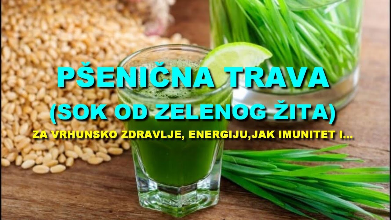P&Scaron;ENIČNA TRAVA (SOK OD ZELENOG ŽITA) - Za VRHUNSKO ZDRAVLJE, ENERGIJU,JAK IMUNITET I...
