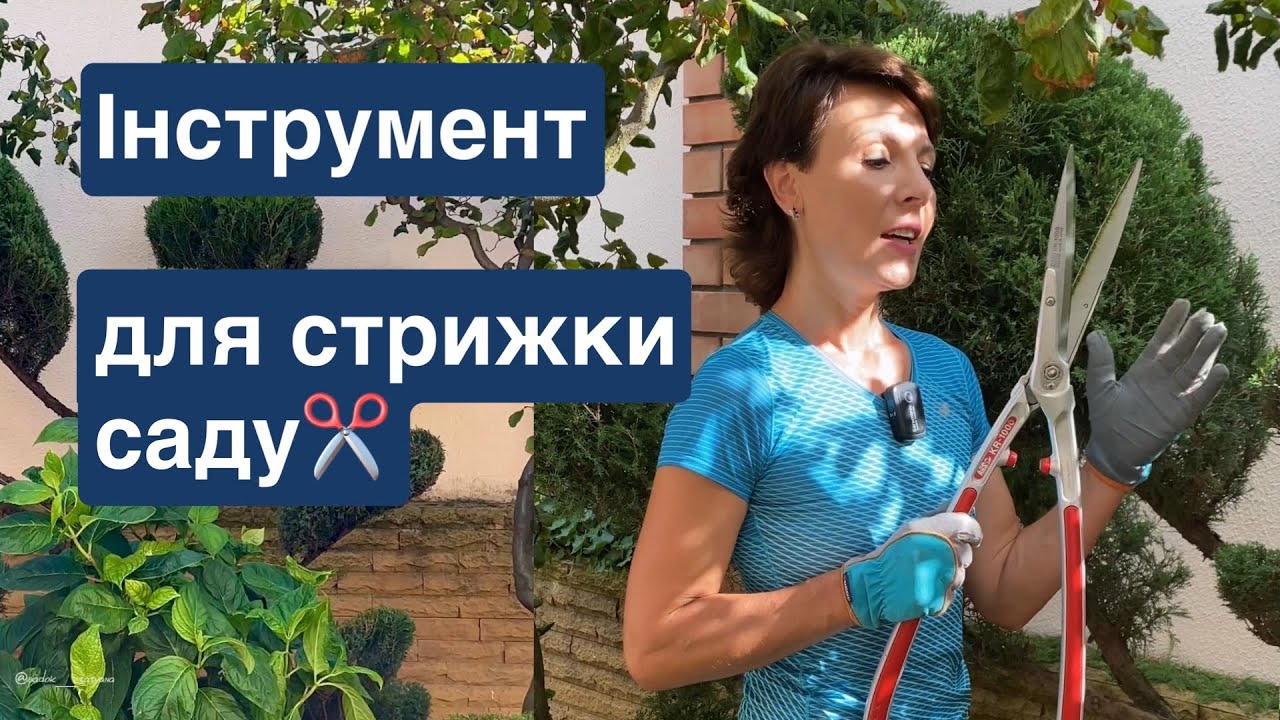 Як обрати садові ножиці ✂️КУЩОРІЗ ✂️САДОВИЙ Інструмент