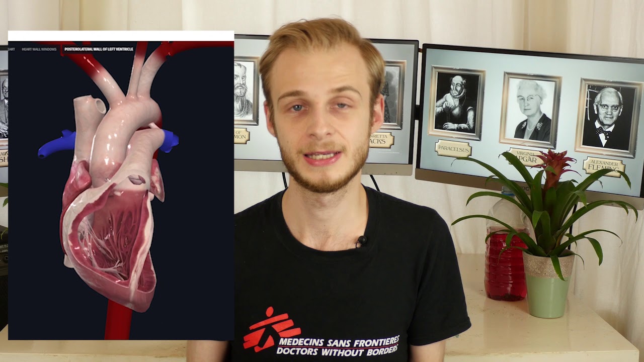 How You Can Help Support My Channel | PostGradMedic