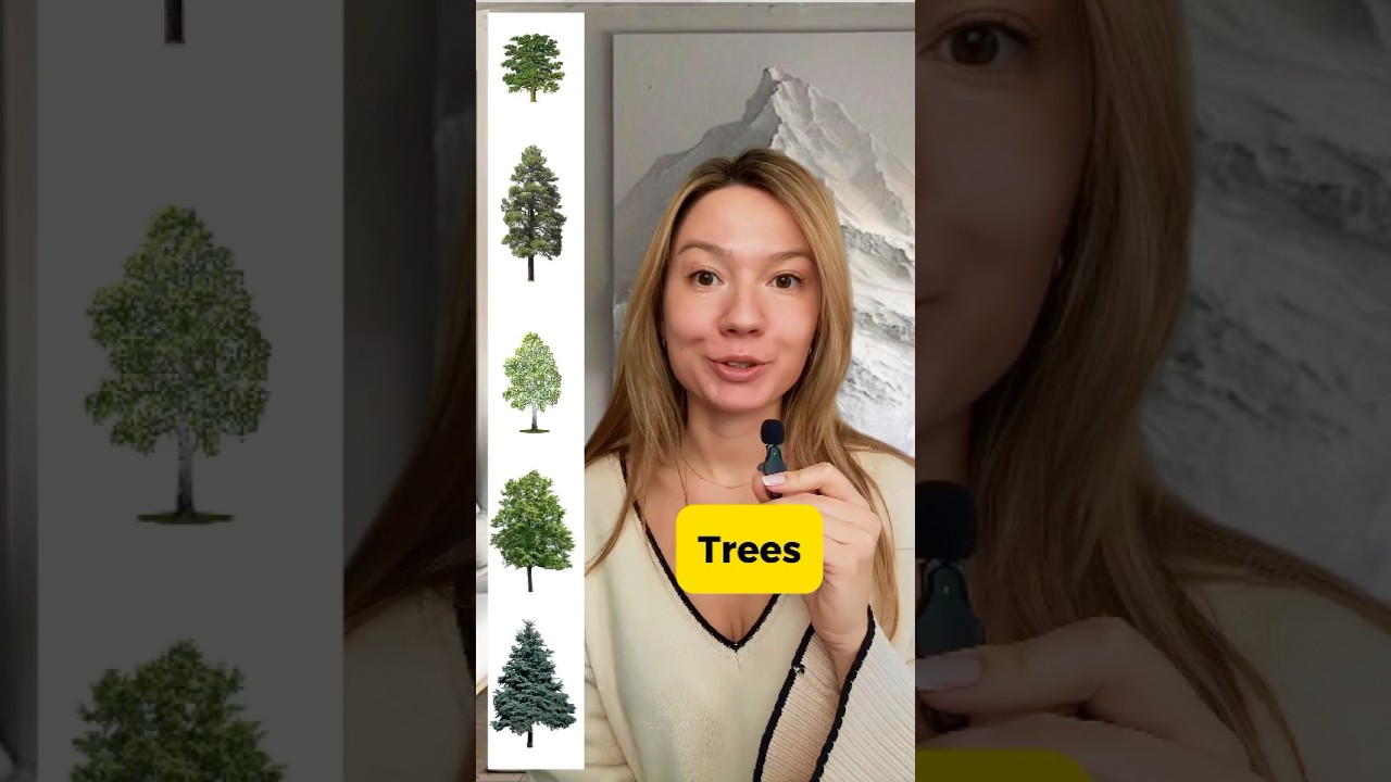 Tree Names in English 🌳 