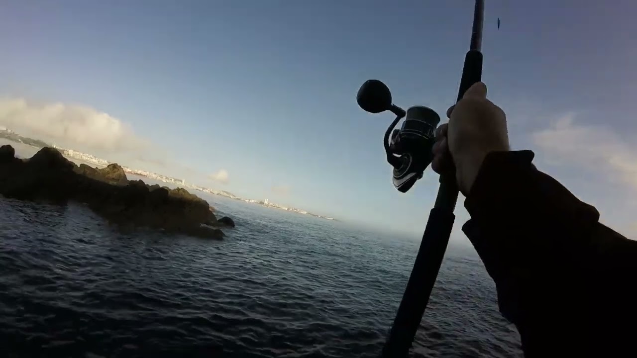 PENN SQUADRON III SW 3M. + DAIWA BG MQ 4000