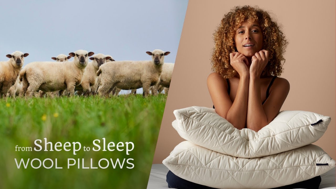 Woolroom from Sheep to Sleep - Wool Pillows