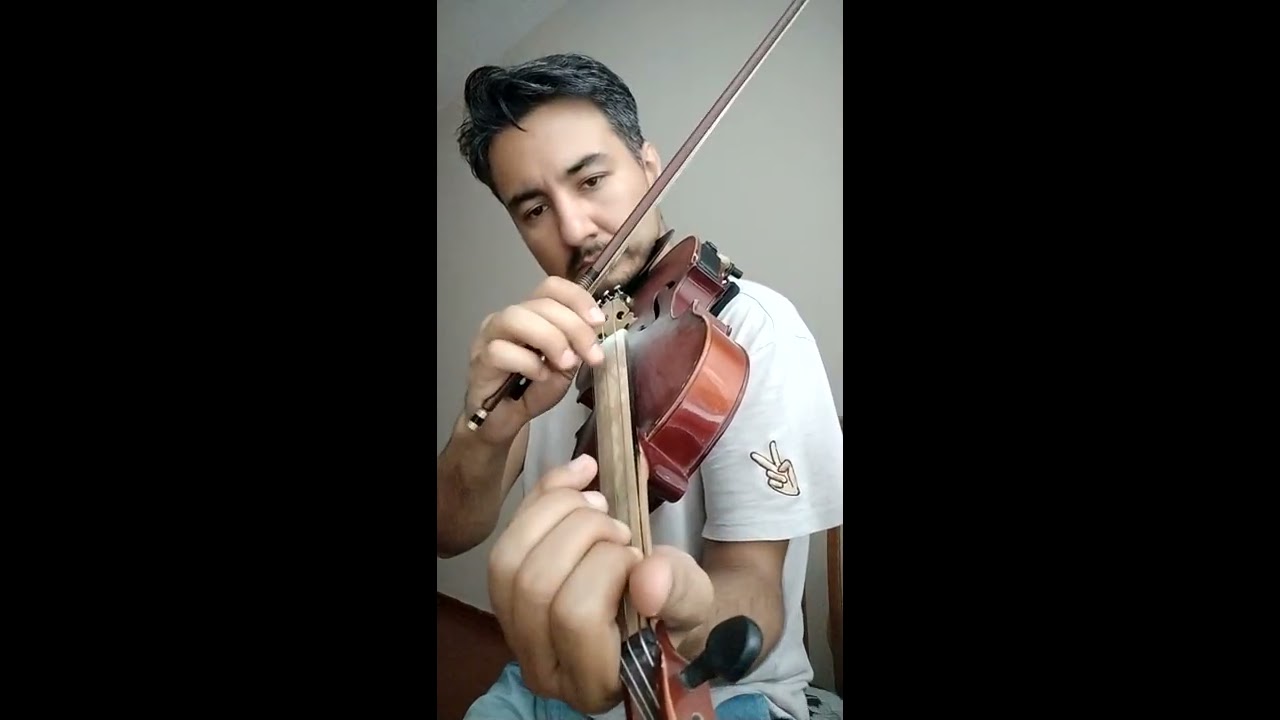 Senin Olmaya Geldim (keman)🎻