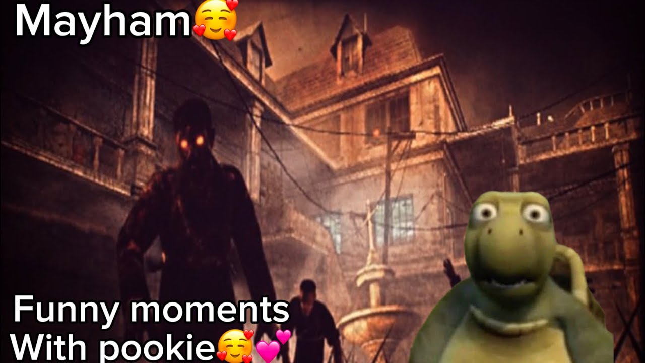 Funny moments with the goat zoul - part 1