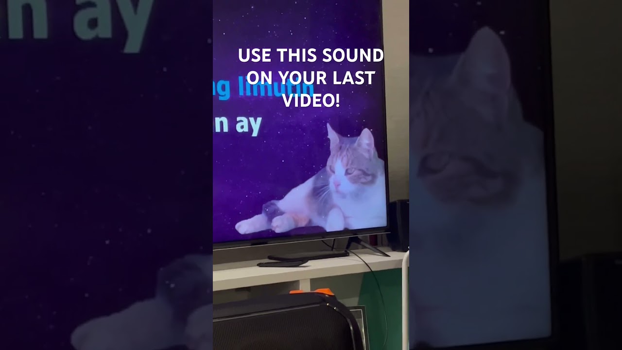 Cat-kaoke!